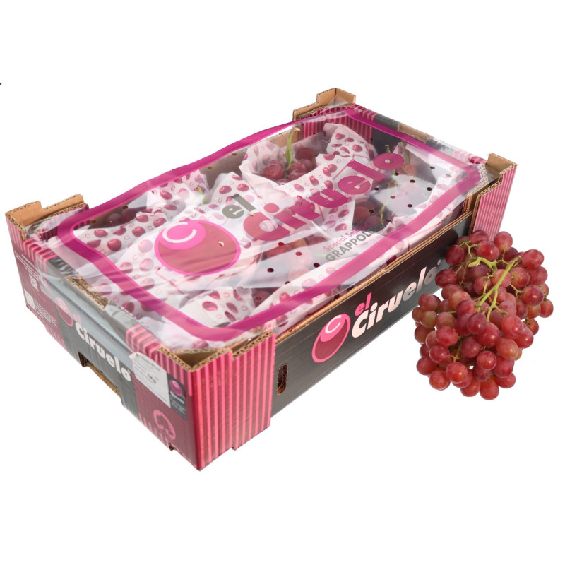 RAISIN ROSE SEEDLESS EL CIRUELO 5KG